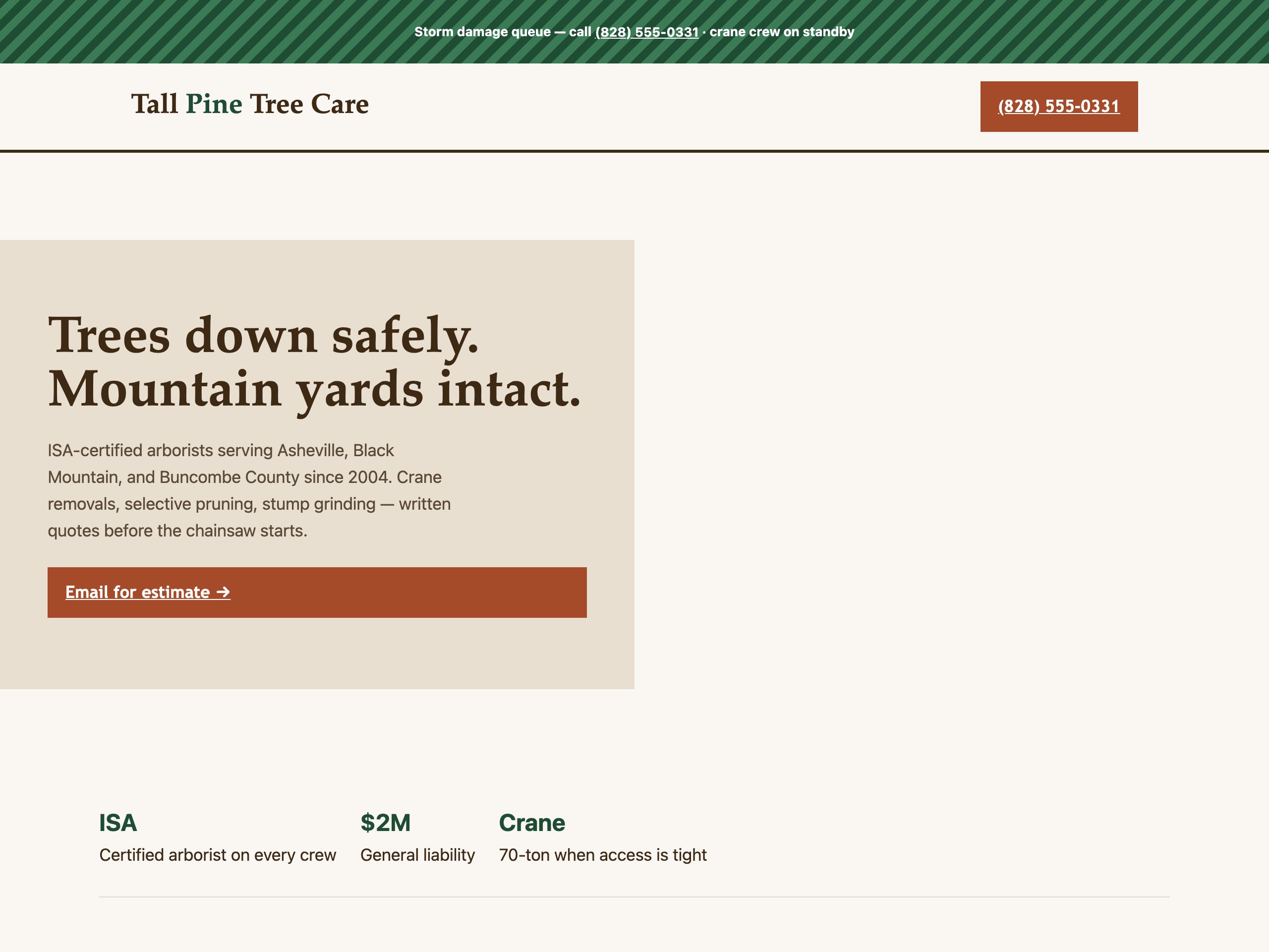 Tall Pine Tree Care — built with Nanopage